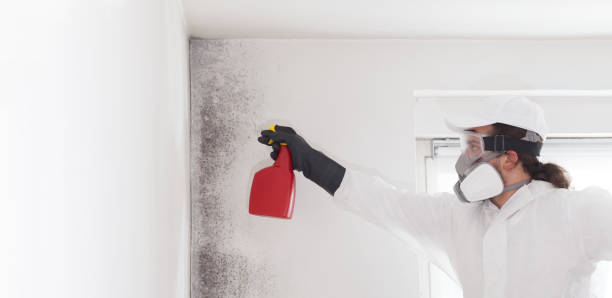 Best Mold Testing  in Jefferson, LA